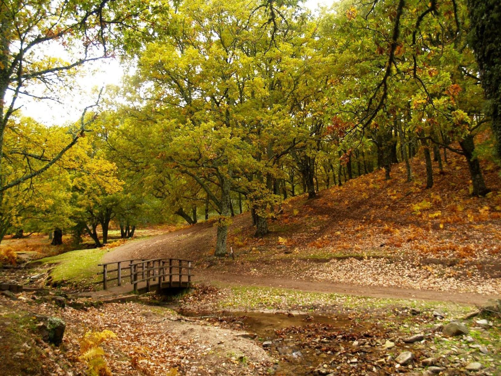 Ruralrut En El Tiemblo Precios Especiales A Partir De 7 Noches, Wifi, Cabina De Hidromasaje, Aire Acondicionado, Zonas De Bano Naturales Cercanas Eksteriør bilde